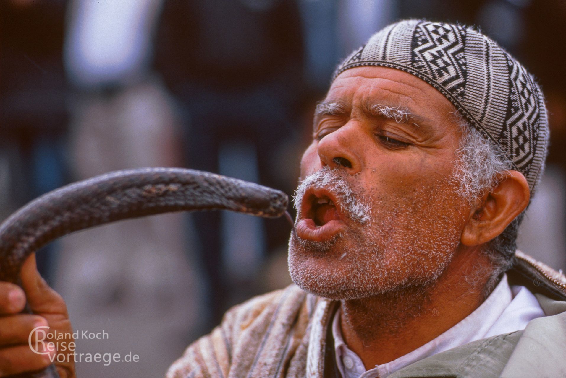 Snake charmer in the souk, Djemaa el Fna, Marrakech